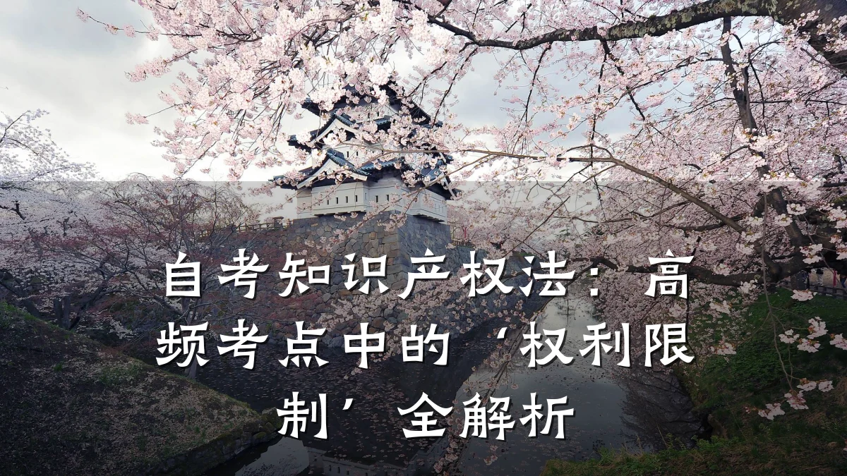 自考知识产权法：高频考点中的‘权利限制’全解析