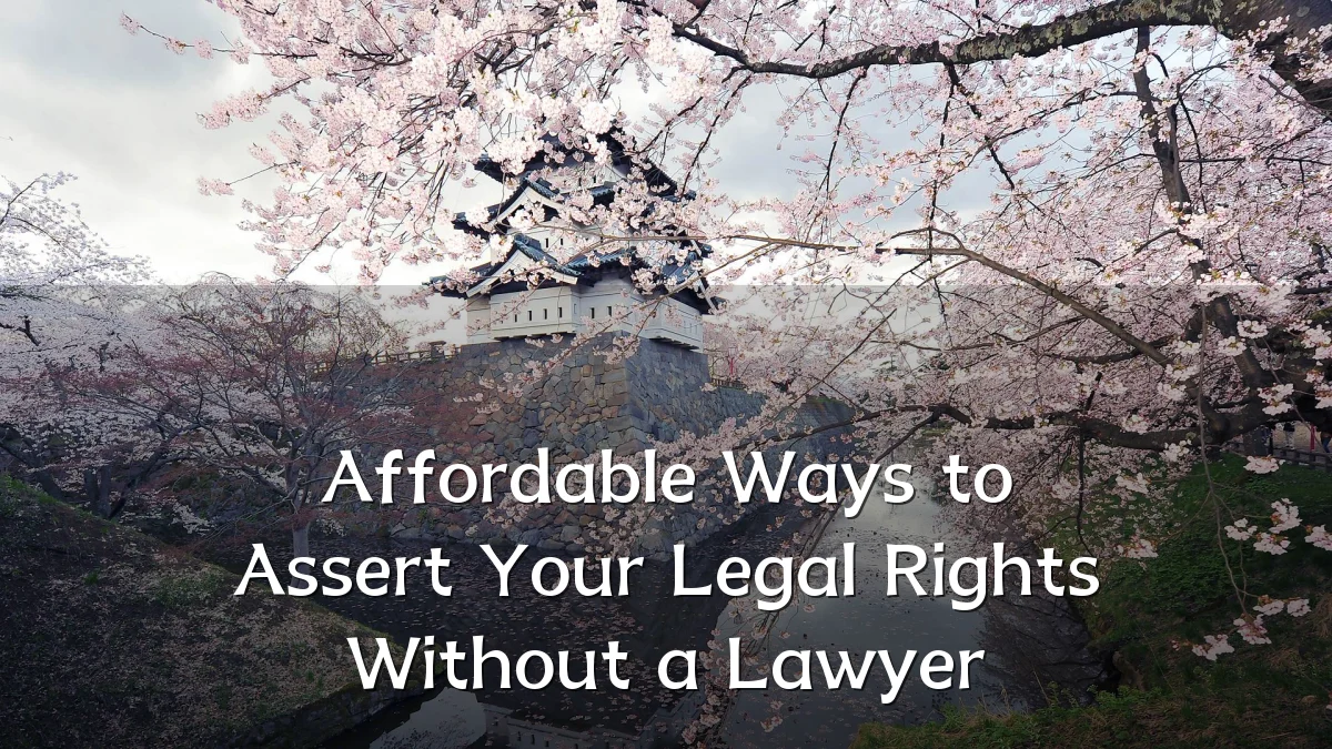 Affordable Ways to Assert Your Legal Rights Without a Lawyer