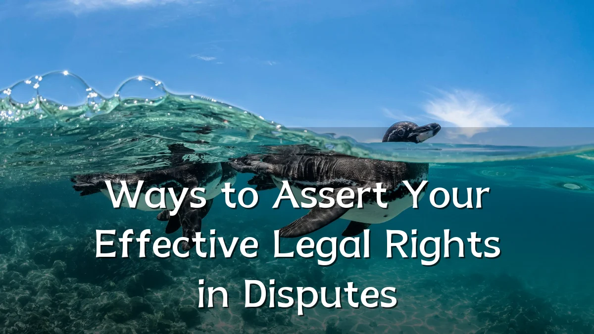 Ways to Assert Your Effective Legal Rights in Disputes