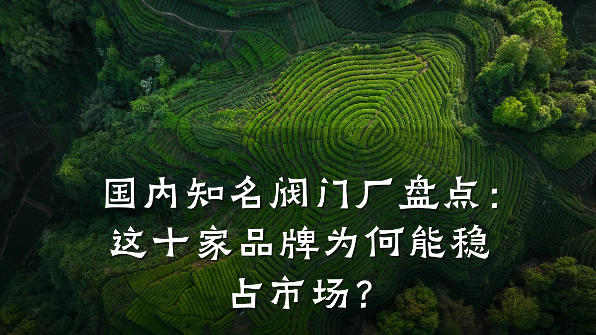 国内知名阀门厂盘点：这十家品牌为何能稳占市场？