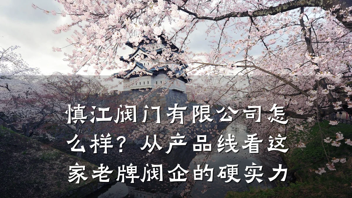 慎江阀门有限公司怎么样？从产品线看这家老牌阀企的硬实力