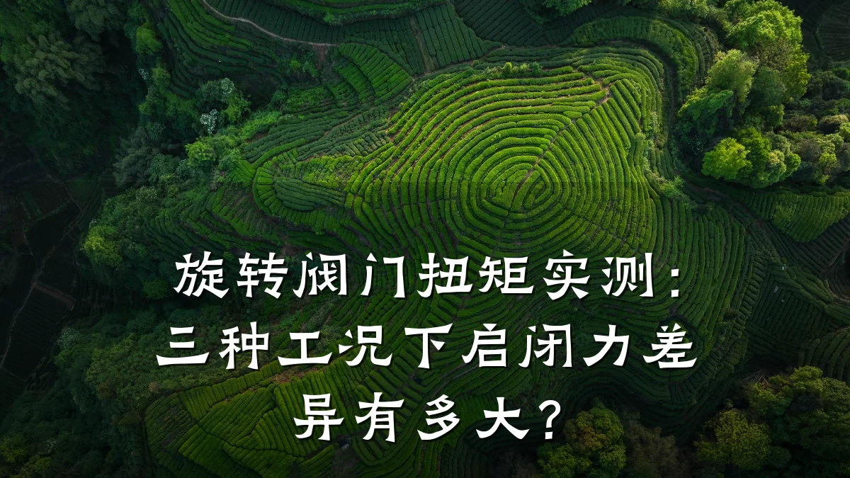 旋转阀门扭矩实测：三种工况下启闭力差异有多大？