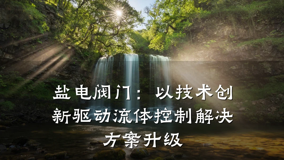盐电阀门：以技术创新驱动流体控制解决方案升级