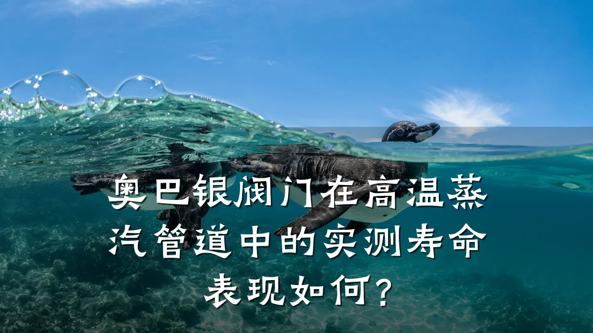 奥巴银阀门在高温蒸汽管道中的实测寿命表现如何?
