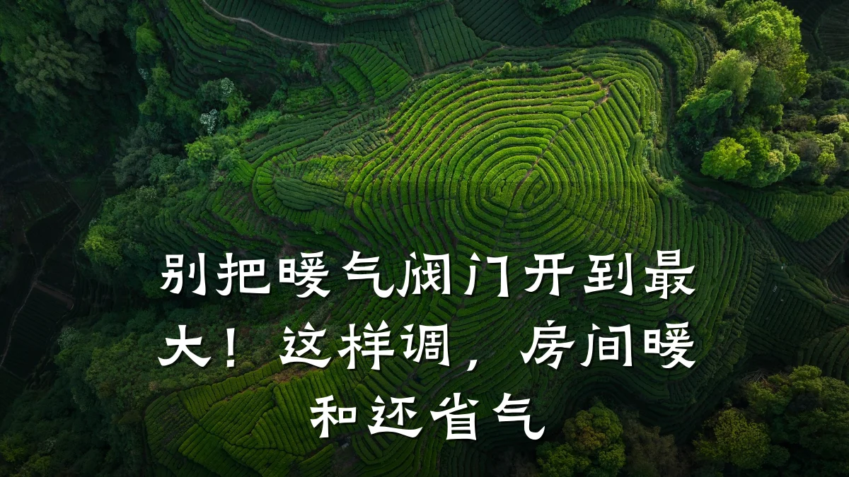 别把暖气阀门开到最大！这样调，房间暖和还省气