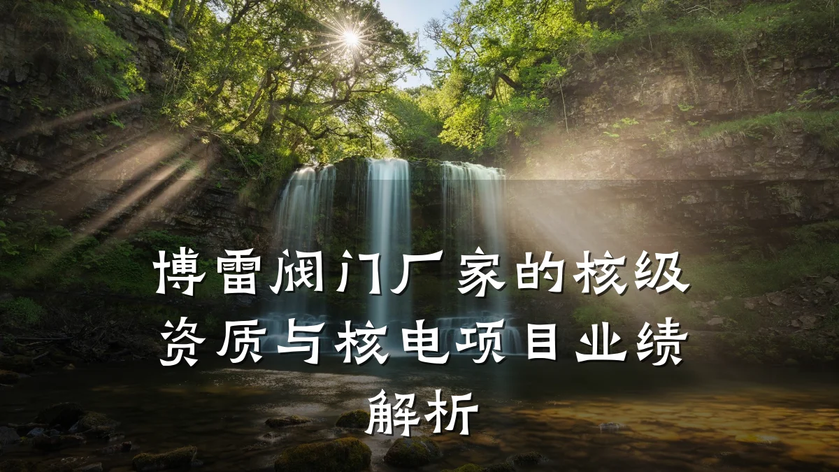 博雷阀门厂家的核级资质与核电项目业绩解析