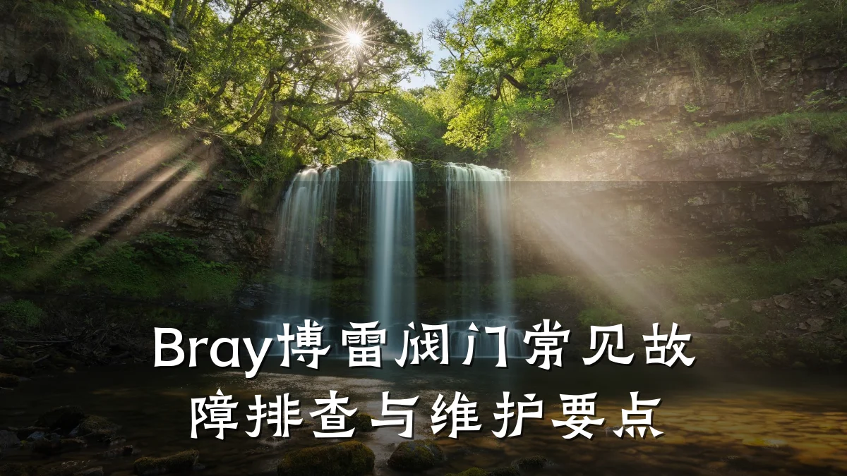 Bray博雷阀门常见故障排查与维护要点