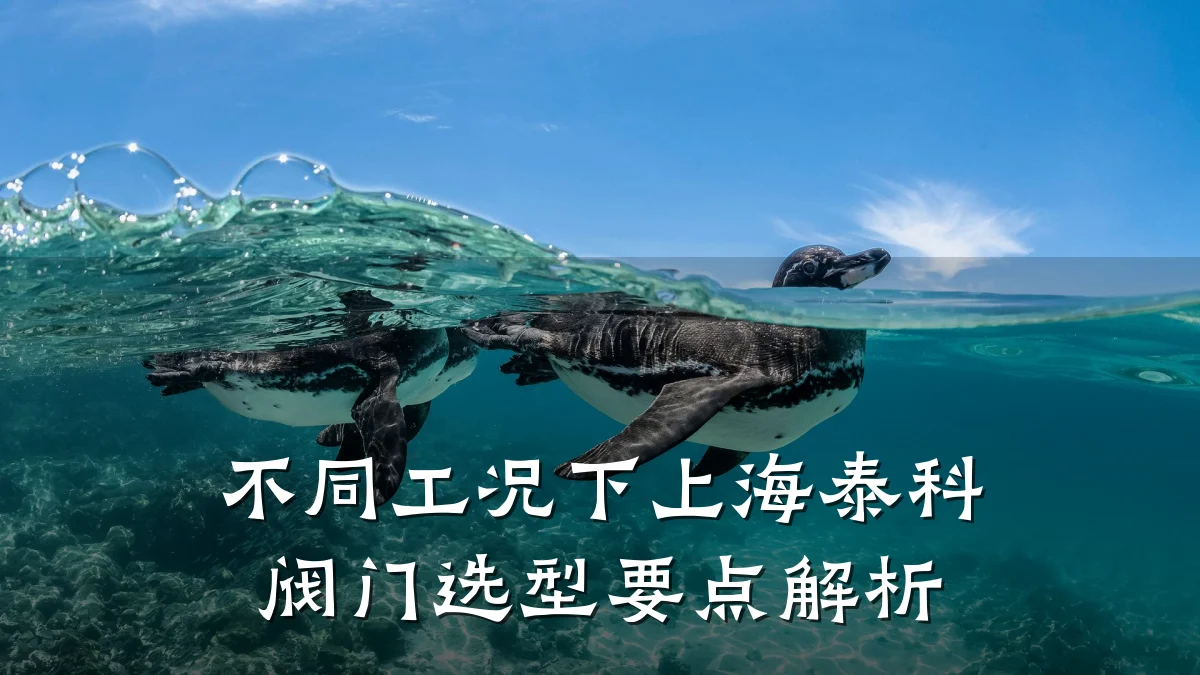 不同工况下上海泰科阀门选型要点解析