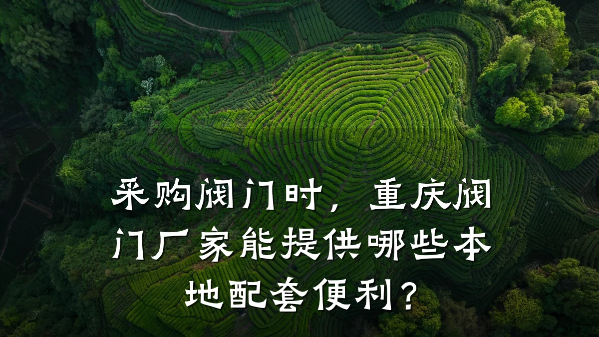 采购阀门时，重庆阀门厂家能提供哪些本地配套便利？