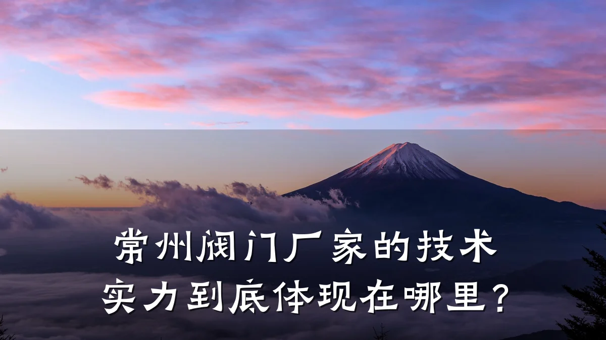 常州阀门厂家的技术实力到底体现在哪里？