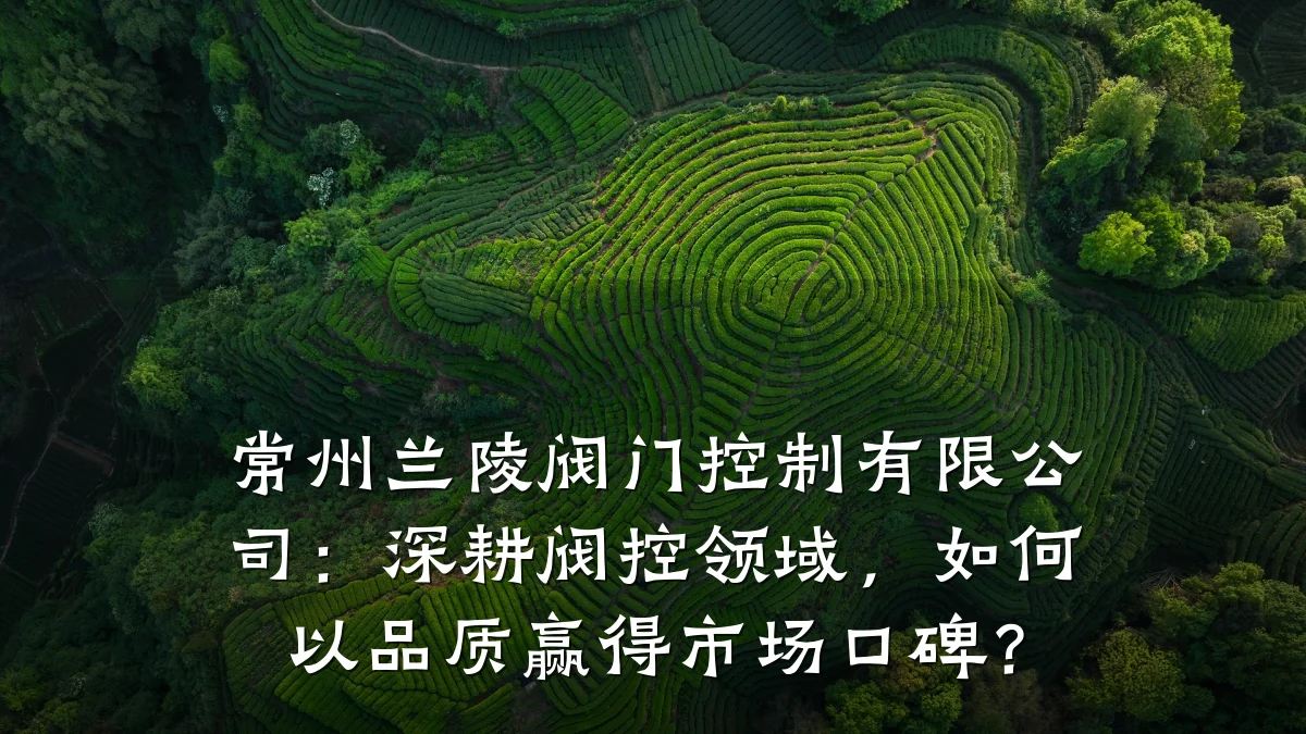 常州兰陵阀门控制有限公司：深耕阀控领域，如何以品质赢得市场口碑？