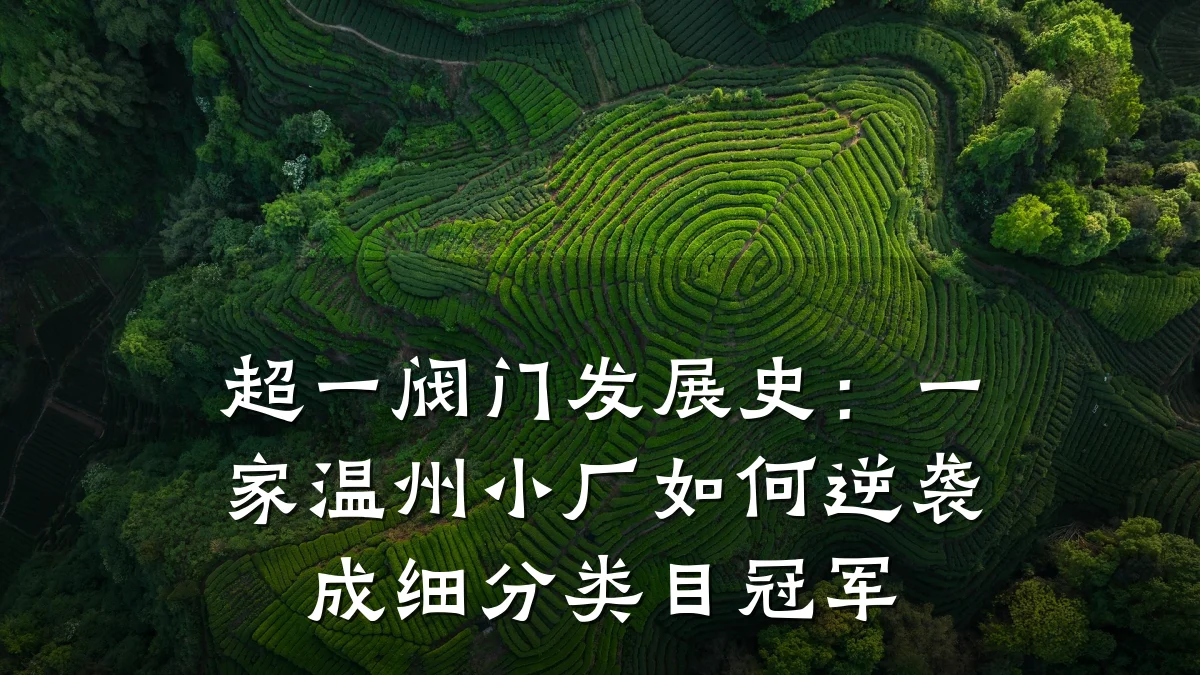 超一阀门发展史：一家温州小厂如何逆袭成细分类目冠军