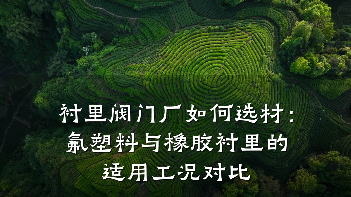 衬里阀门厂如何选材：氟塑料与橡胶衬里的适用工况对比