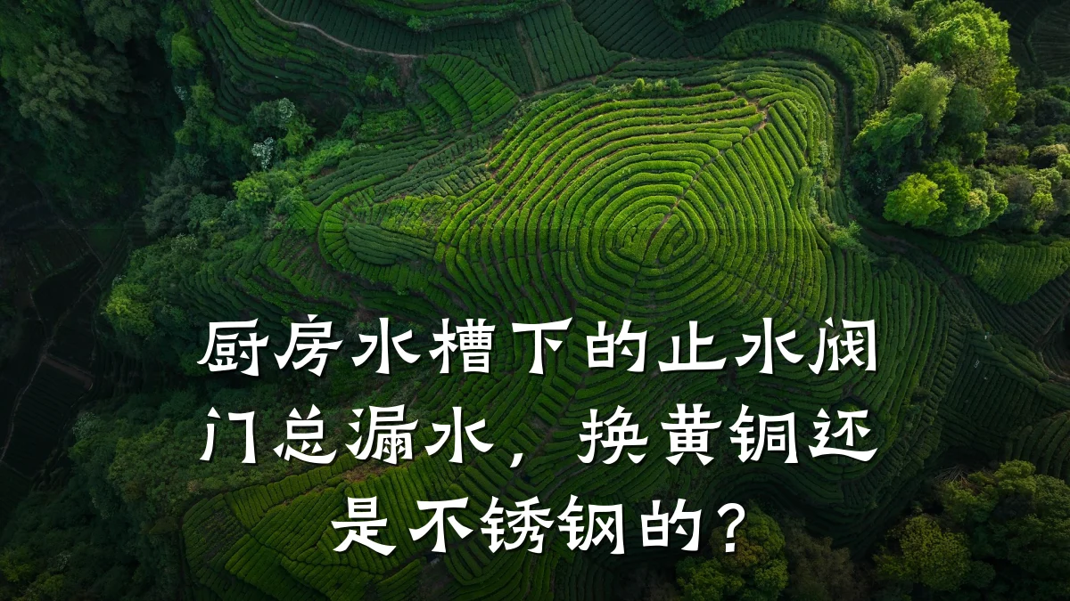 厨房水槽下的止水阀门总漏水，换黄铜还是不锈钢的？