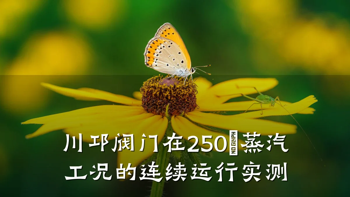 川邛阀门在250℃蒸汽工况的连续运行实测