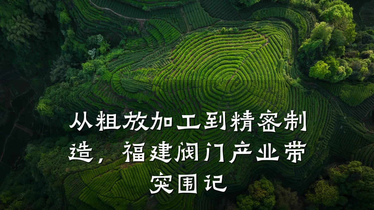 从粗放加工到精密制造，福建阀门产业带突围记