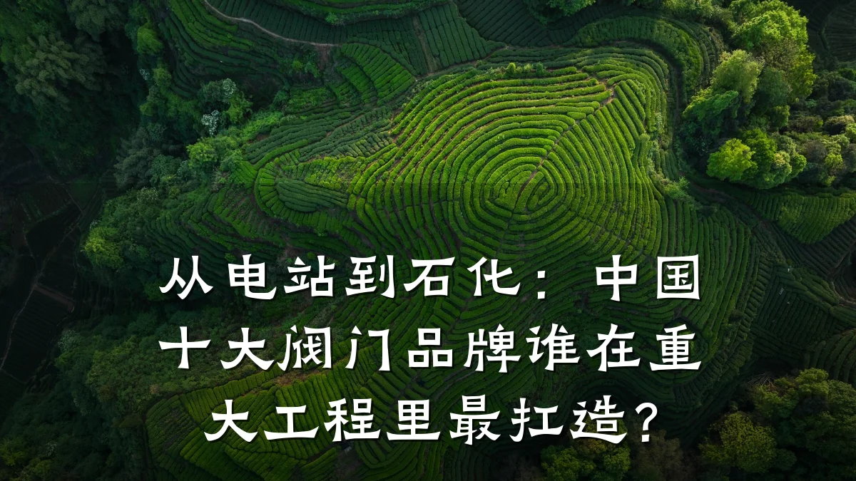 从电站到石化：中国十大阀门品牌谁在重大工程里最扛造？