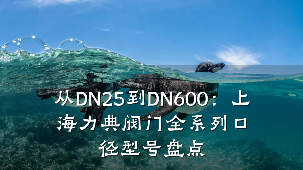从DN25到DN600:上海力典阀门全系列口径型号盘点