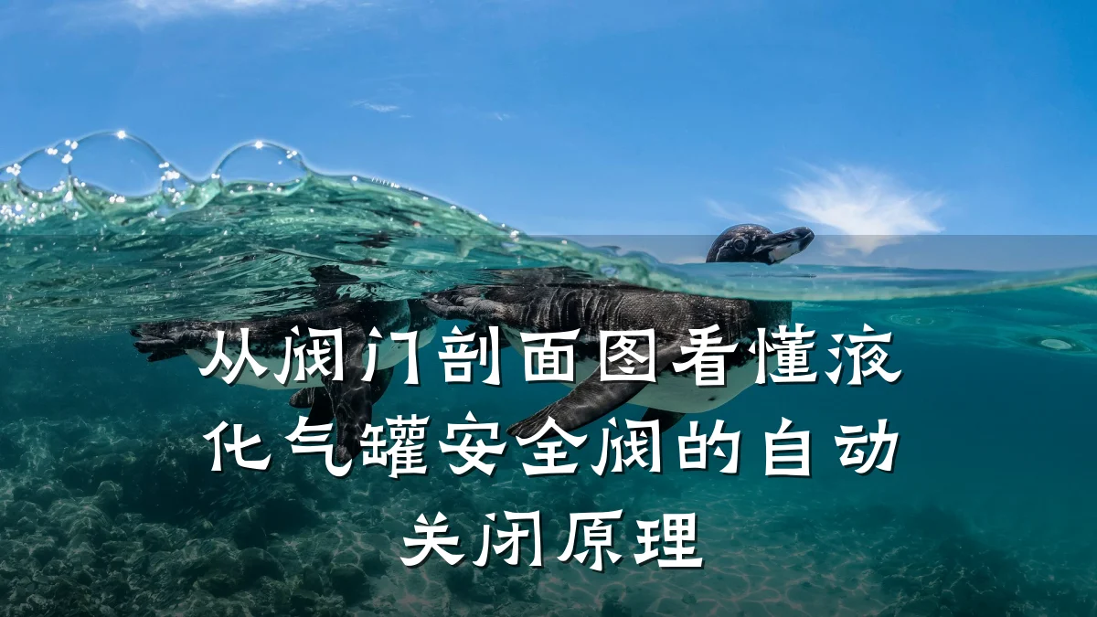 从阀门剖面图看懂液化气罐安全阀的自动关闭原理