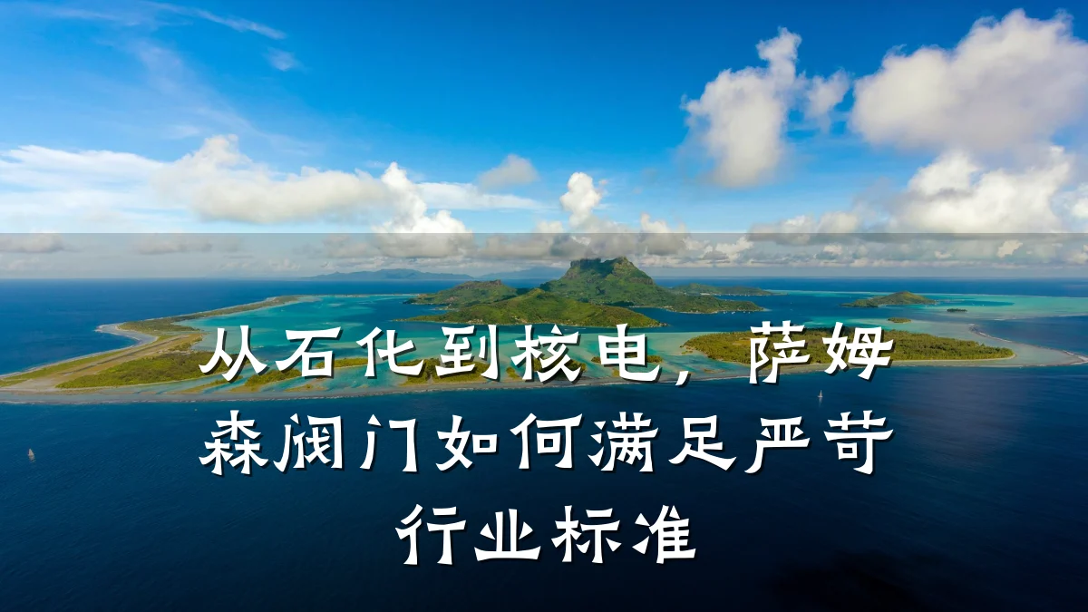 从石化到核电，萨姆森阀门如何满足严苛行业标准
