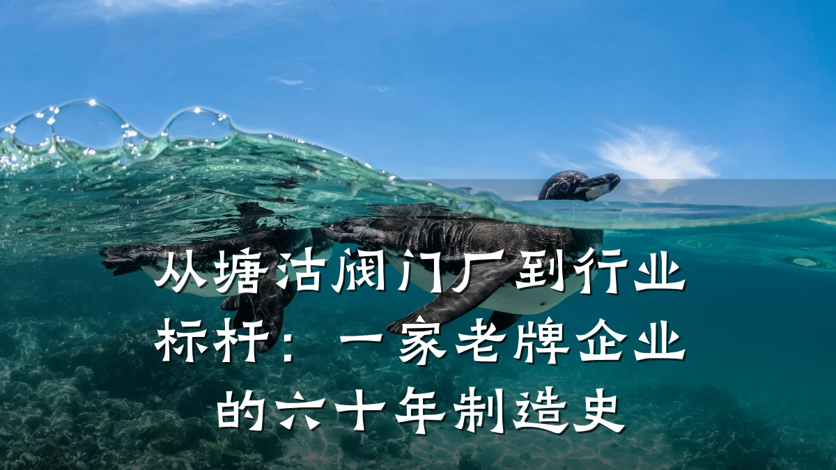 从塘沽阀门厂到行业标杆：一家老牌企业的六十年制造史