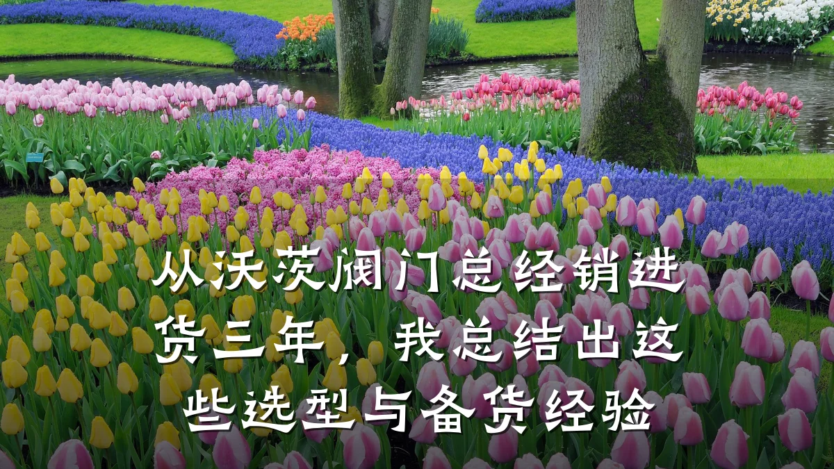 从沃茨阀门总经销进货三年，我总结出这些选型与备货经验