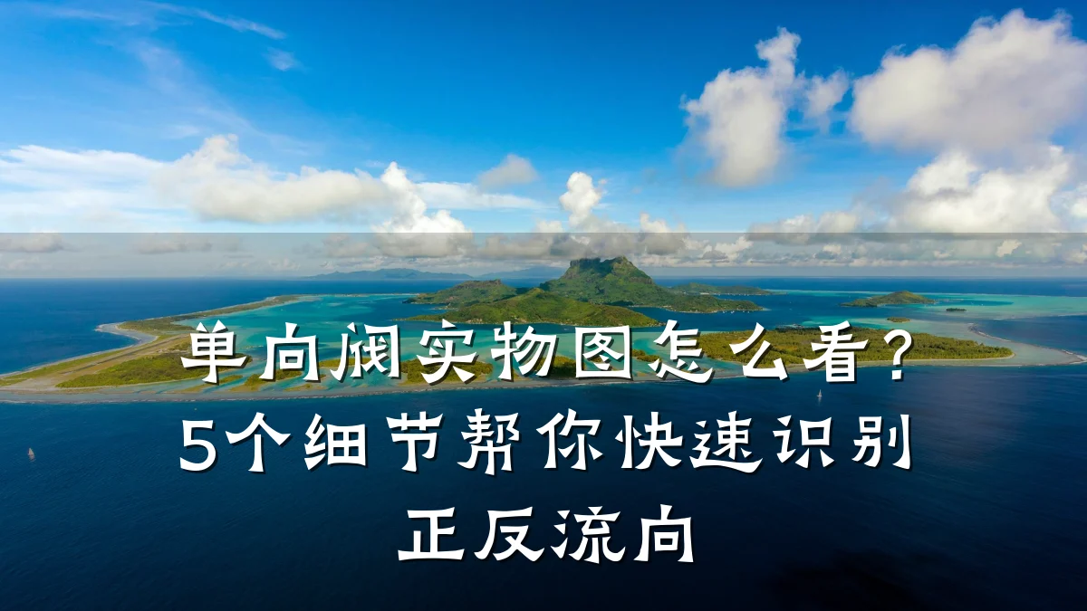 单向阀实物图怎么看？5个细节帮你快速识别正反流向