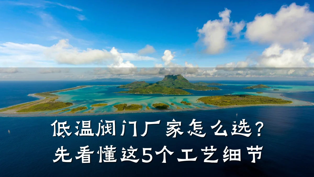 低温阀门厂家怎么选？先看懂这5个工艺细节