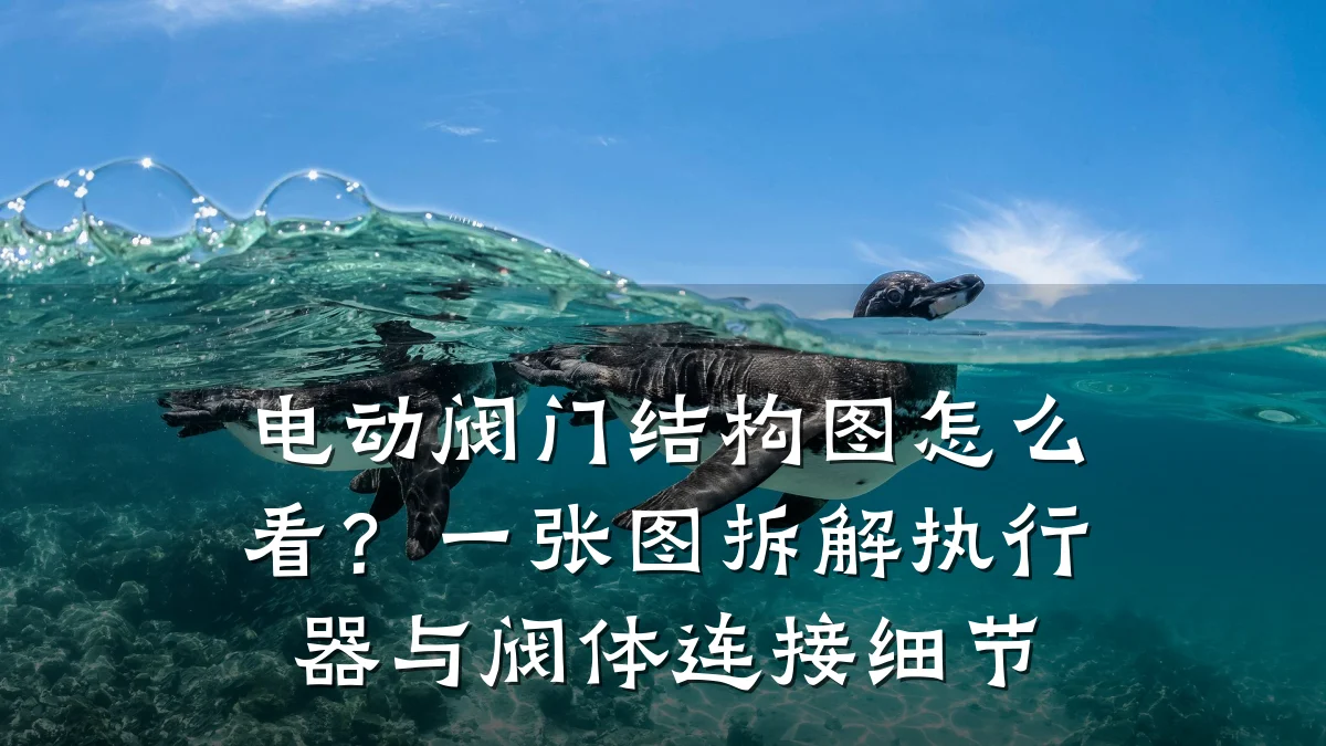 电动阀门结构图怎么看?一张图拆解执行器与阀体连接细节