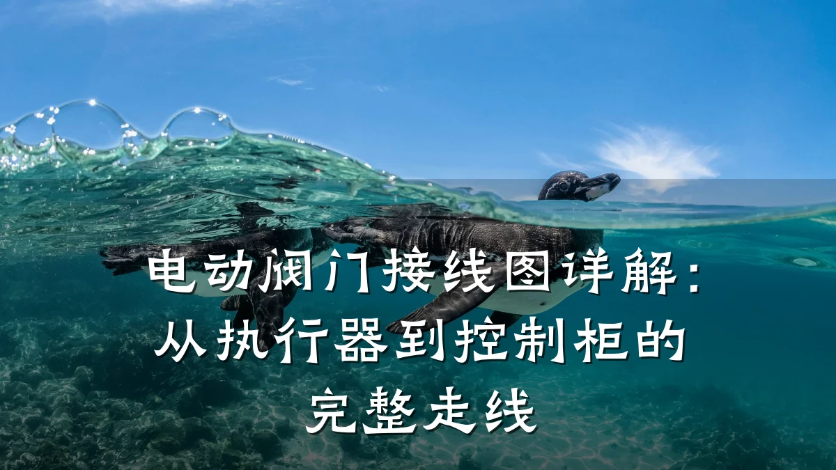 电动阀门接线图详解：从执行器到控制柜的完整走线