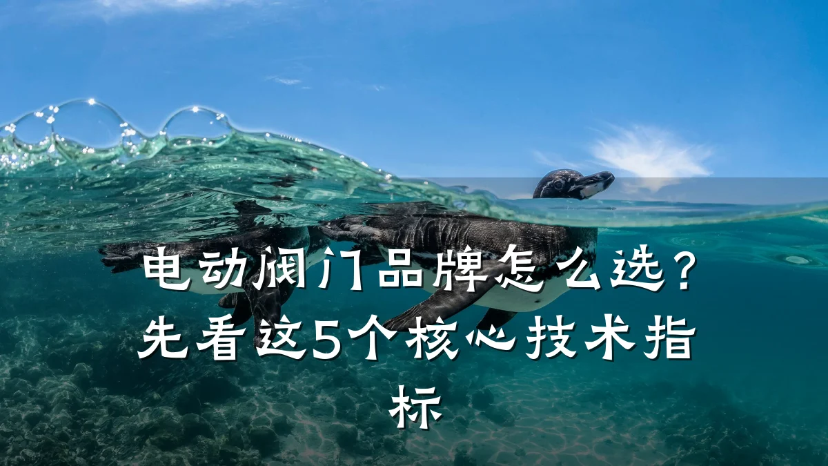 电动阀门品牌怎么选？先看这5个核心技术指标