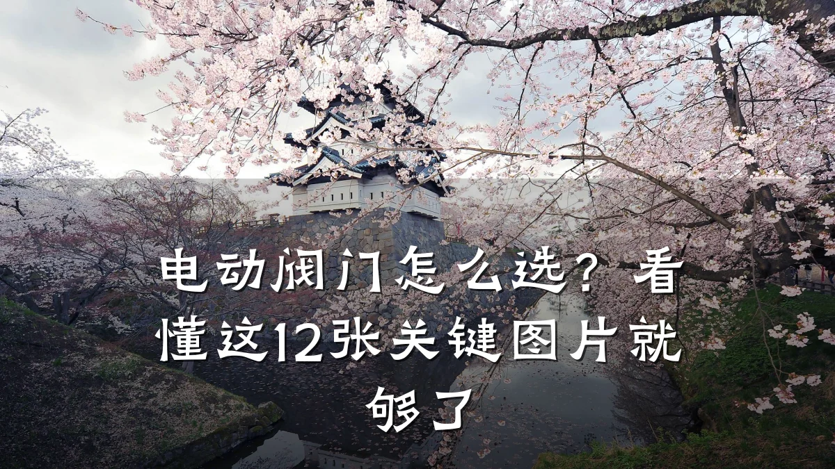 电动阀门怎么选？看懂这12张关键图片就够了
