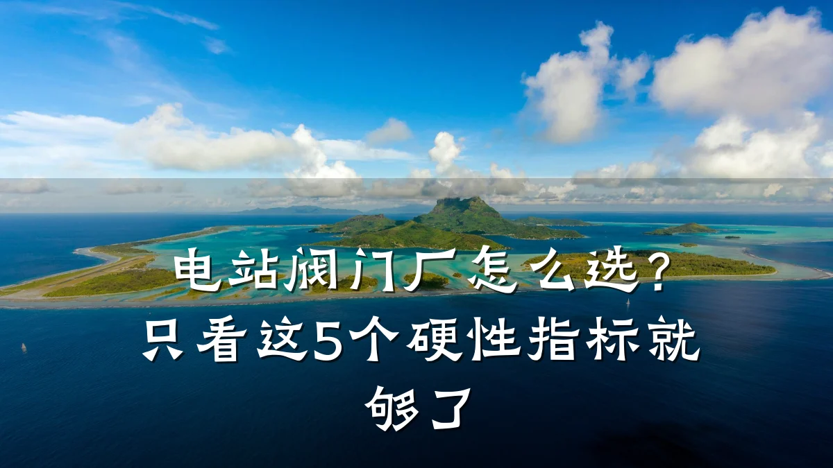 电站阀门厂怎么选？只看这5个硬性指标就够了