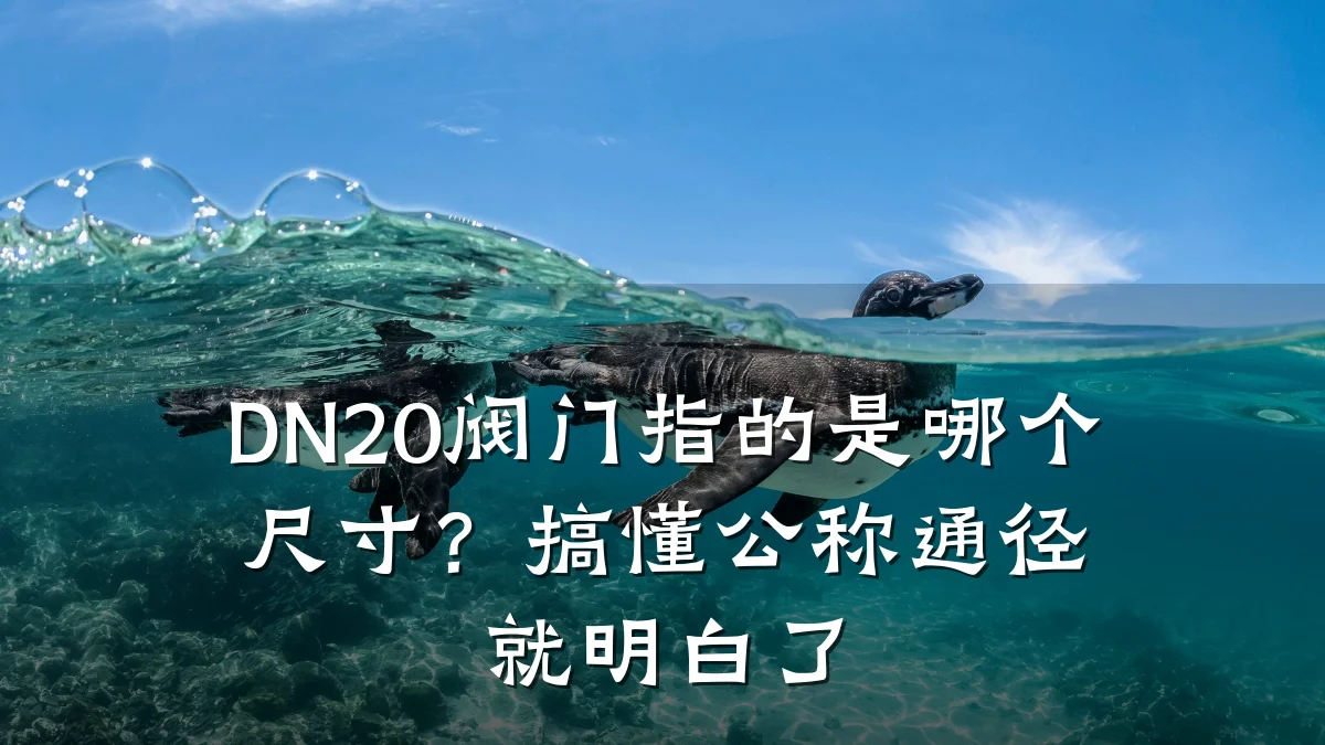 DN20阀门指的是哪个尺寸？搞懂公称通径就明白了