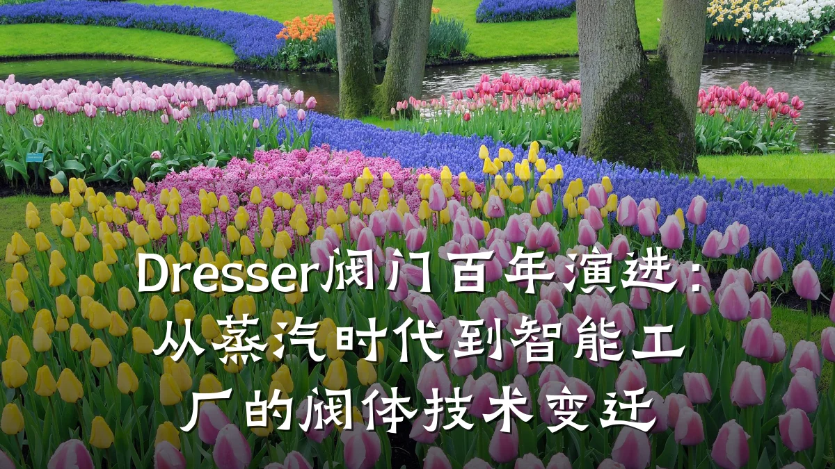 Dresser阀门百年演进：从蒸汽时代到智能工厂的阀体技术变迁