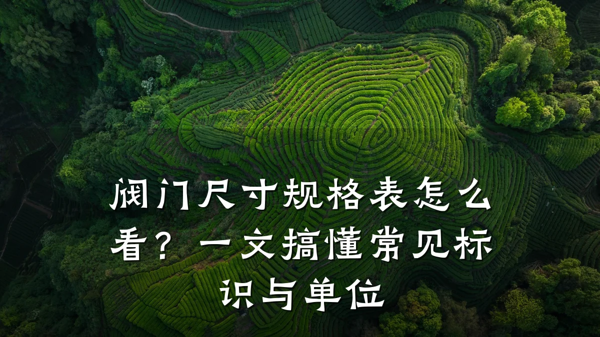 阀门尺寸规格表怎么看？一文搞懂常见标识与单位
