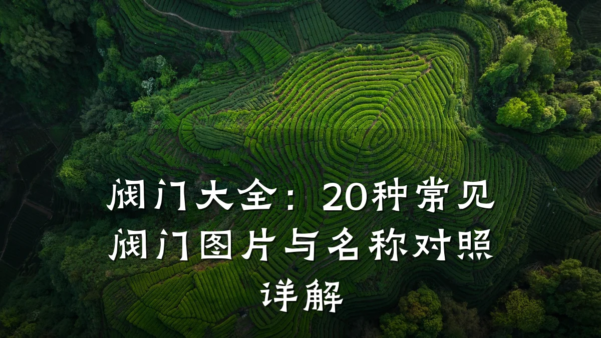 阀门大全：20种常见阀门图片与名称对照详解