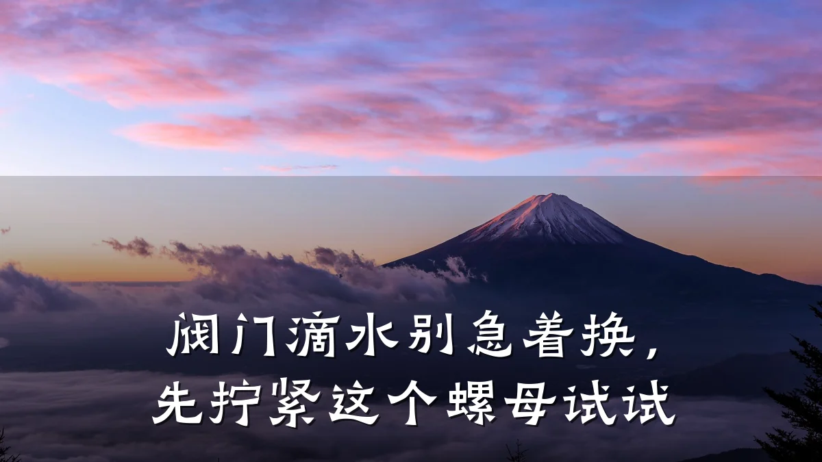 阀门滴水别急着换，先拧紧这个螺母试试