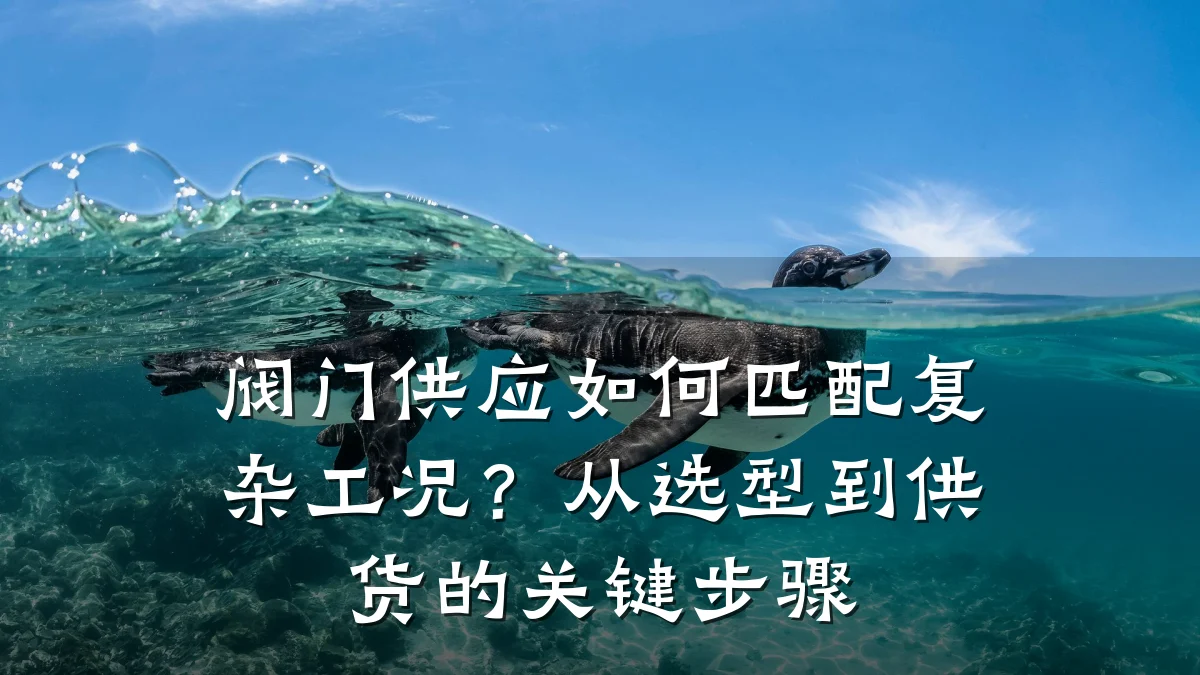 阀门供应如何匹配复杂工况？从选型到供货的关键步骤