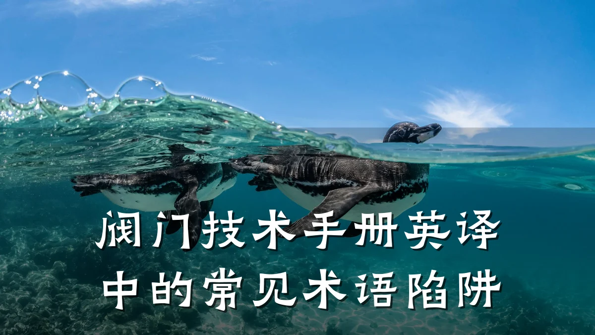 阀门技术手册英译中的常见术语陷阱
