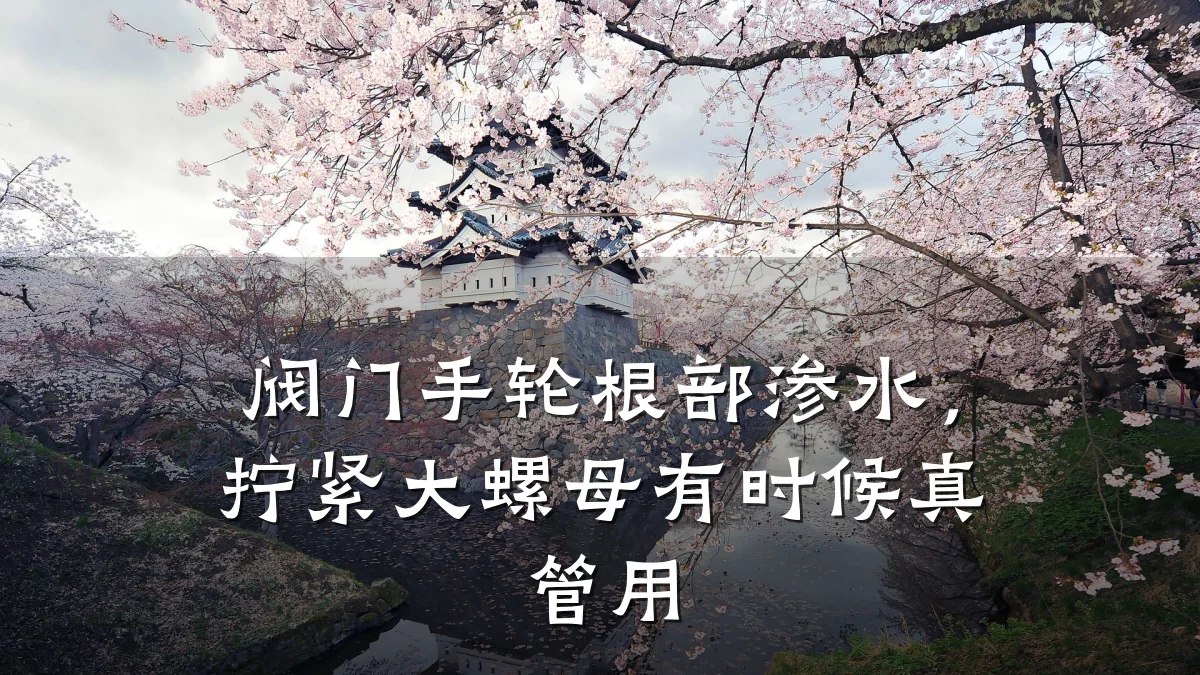 阀门手轮根部渗水，拧紧大螺母有时候真管用