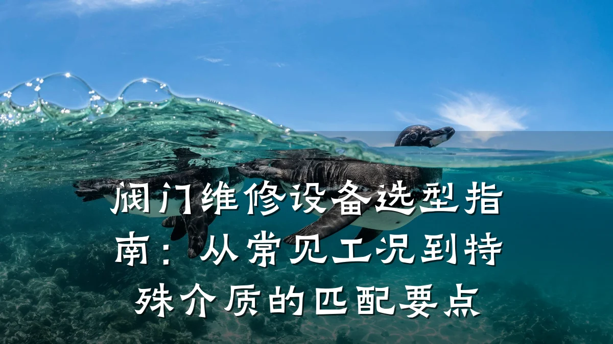 阀门维修设备选型指南：从常见工况到特殊介质的匹配要点