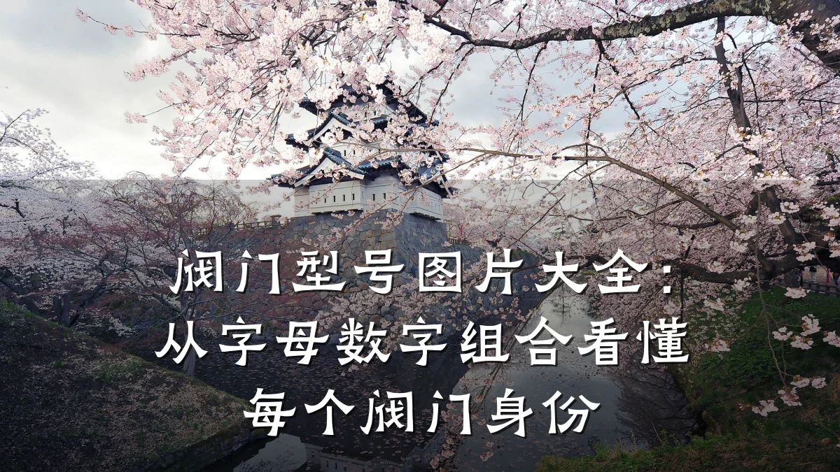 阀门型号图片大全:从字母数字组合看懂每个阀门身份