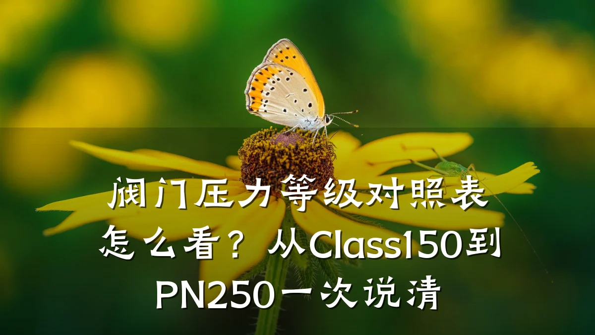阀门压力等级对照表怎么看？从Class150到PN250一次说清