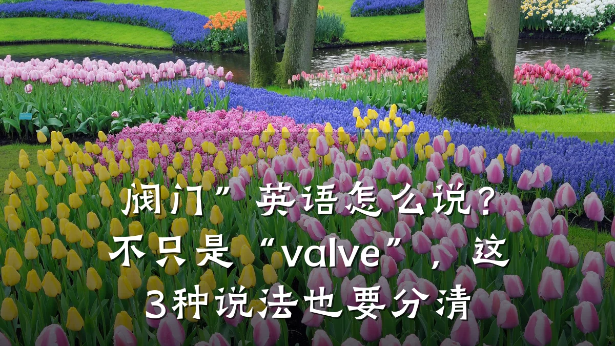 阀门”英语怎么说？不只是“valve”，这3种说法也要分清
