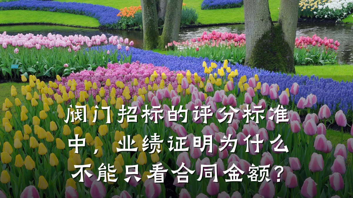 阀门招标的评分标准中,业绩证明为什么不能只看合同金额?