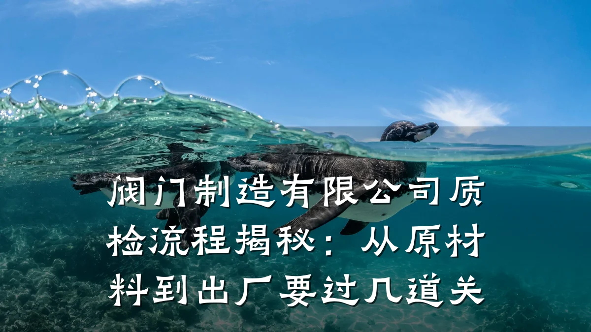 阀门制造有限公司质检流程揭秘：从原材料到出厂要过几道关