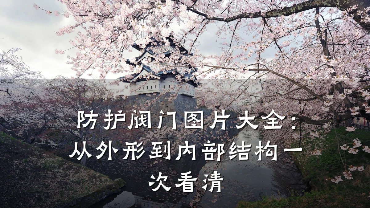 防护阀门图片大全:从外形到内部结构一次看清