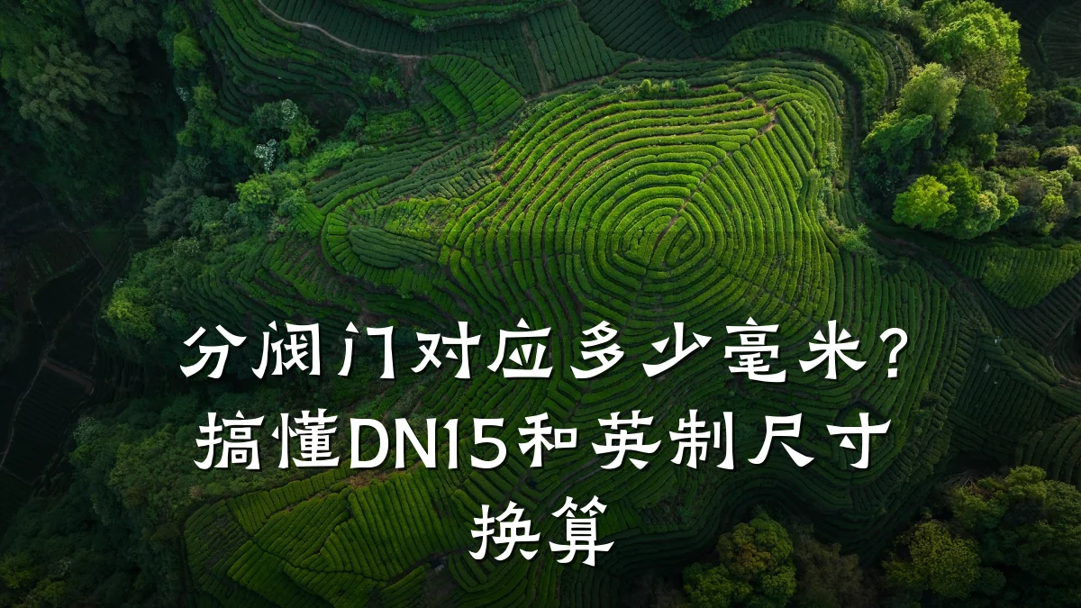 分阀门对应多少毫米？搞懂DN15和英制尺寸换算