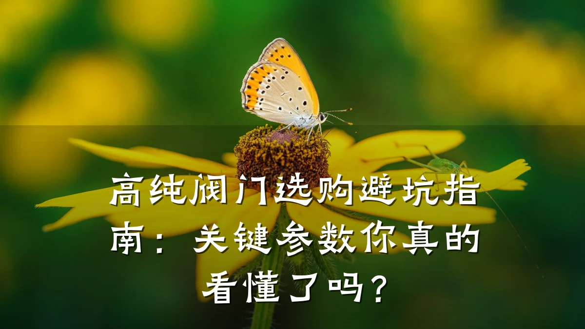 高纯阀门选购避坑指南：关键参数你真的看懂了吗？